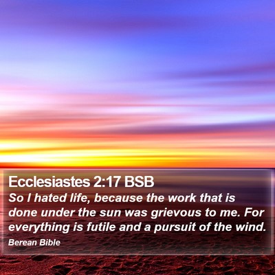 Ecclesiastes 2:17 BSB Bible Verse Image