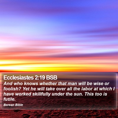 Ecclesiastes 2:19 BSB Bible Verse Image