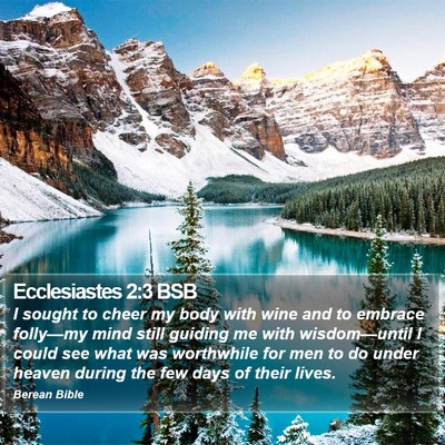 Ecclesiastes 2:3 BSB Bible Verse Image