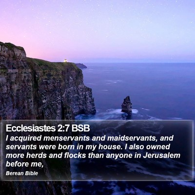 Ecclesiastes 2:7 BSB Bible Verse Image