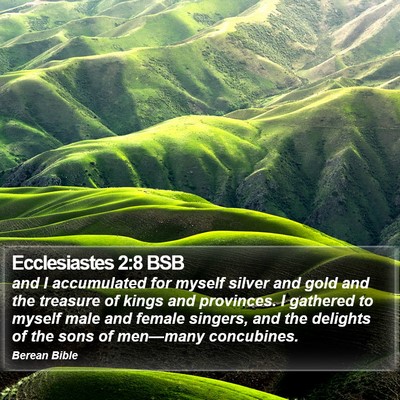 Ecclesiastes 2:8 BSB Bible Verse Image