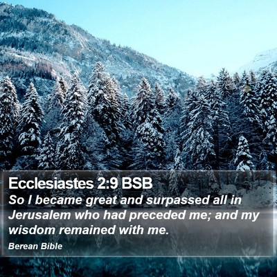 Ecclesiastes 2:9 BSB Bible Verse Image
