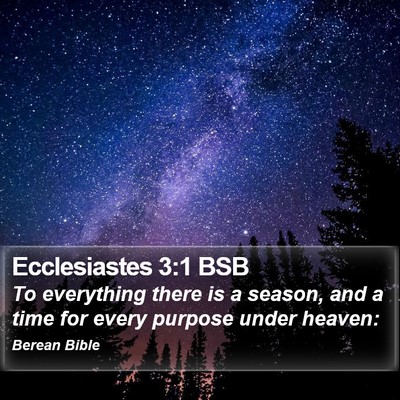 Ecclesiastes 3:1 BSB Bible Verse Image
