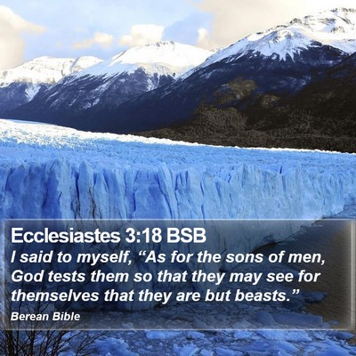 Ecclesiastes 3:18 BSB Bible Verse Image