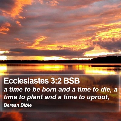 Ecclesiastes 3:2 BSB Bible Verse Image