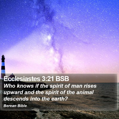 Ecclesiastes 3:21 BSB Bible Verse Image
