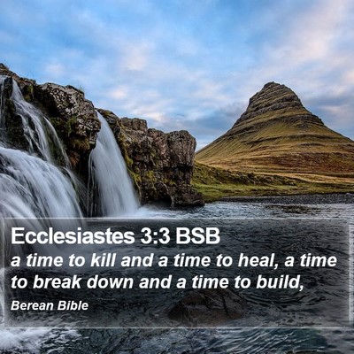 Ecclesiastes 3:3 BSB Bible Verse Image