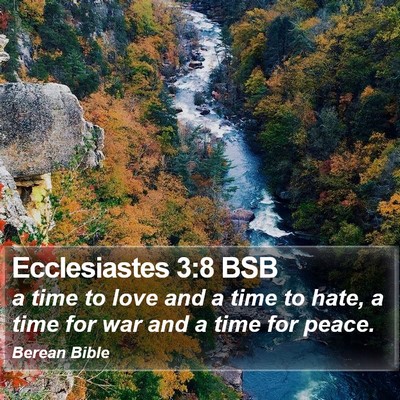 Ecclesiastes 3:8 BSB Bible Verse Image