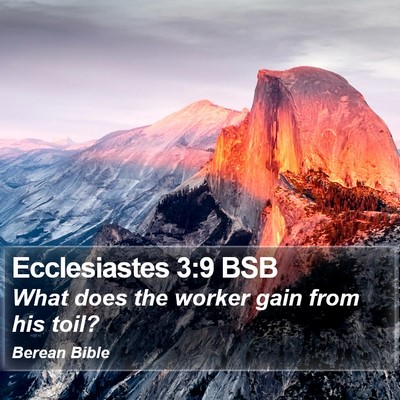 Ecclesiastes 3:9 BSB Bible Verse Image