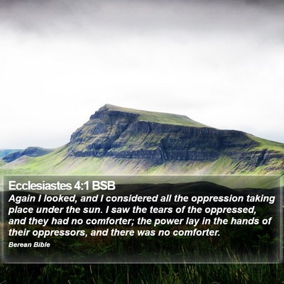 Ecclesiastes 4:1 BSB Bible Verse Image