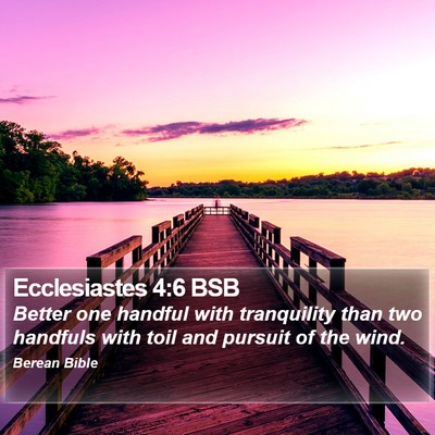 Ecclesiastes 4:6 BSB Bible Verse Image