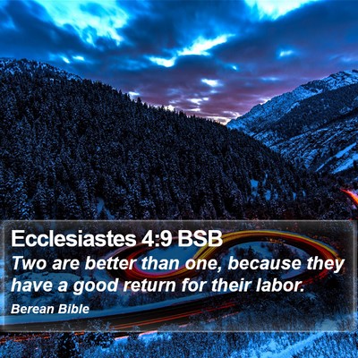 Ecclesiastes 4:9 BSB Bible Verse Image