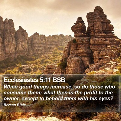 Ecclesiastes 5:11 BSB Bible Verse Image