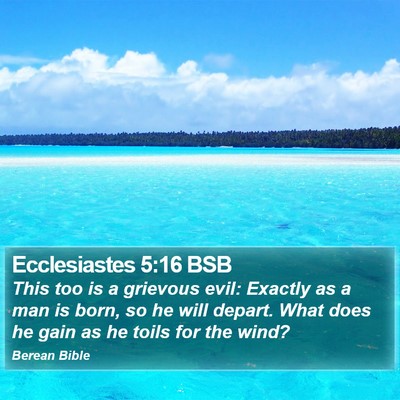 Ecclesiastes 5:16 BSB Bible Verse Image