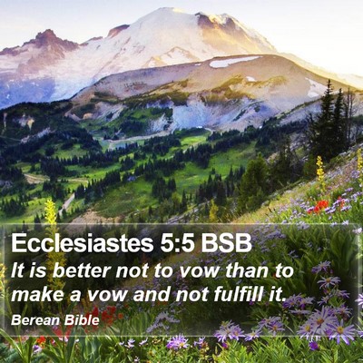 Ecclesiastes 5:5 BSB Bible Verse Image