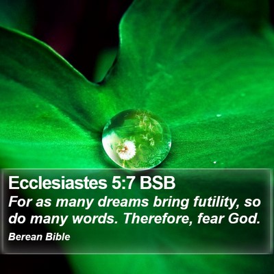 Ecclesiastes 5:7 BSB Bible Verse Image