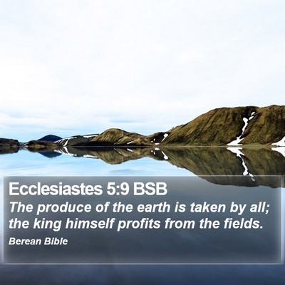 Ecclesiastes 5:9 BSB Bible Verse Image