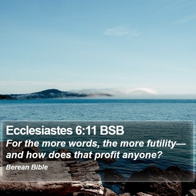 Ecclesiastes 6:11 BSB Bible Verse Image