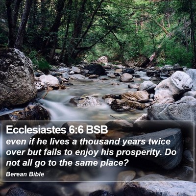 Ecclesiastes 6:6 BSB Bible Verse Image