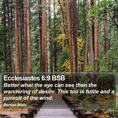 Ecclesiastes 6:9 BSB Bible Verse Image