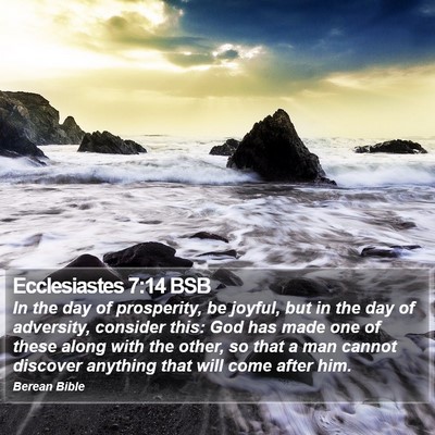 Ecclesiastes 7:14 BSB Bible Verse Image
