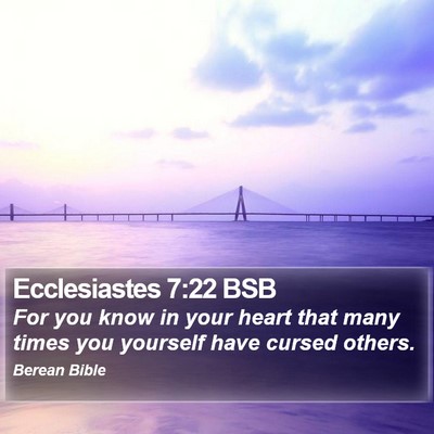 Ecclesiastes 7:22 BSB Bible Verse Image