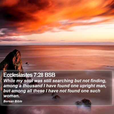 Ecclesiastes 7:28 BSB Bible Verse Image