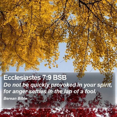 Ecclesiastes 7:9 BSB Bible Verse Image