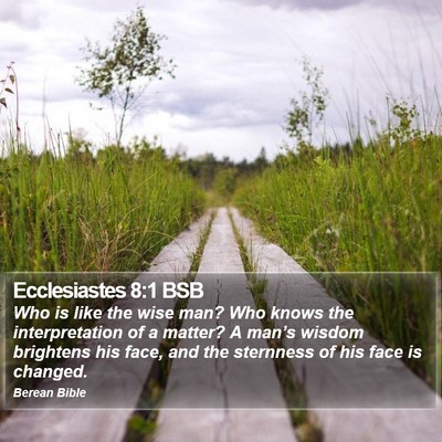 Ecclesiastes 8:1 BSB Bible Verse Image