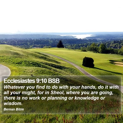 Ecclesiastes 9:10 BSB Bible Verse Image