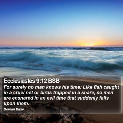 Ecclesiastes 9:12 BSB Bible Verse Image