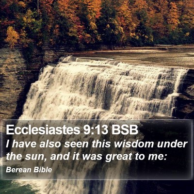Ecclesiastes 9:13 BSB Bible Verse Image