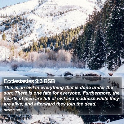 Ecclesiastes 9:3 BSB Bible Verse Image