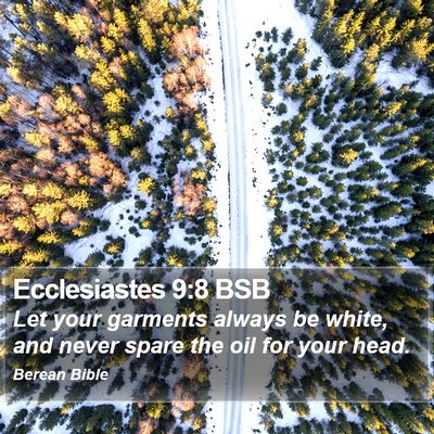 Ecclesiastes 9:8 BSB Bible Verse Image