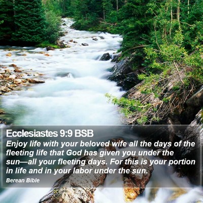 Ecclesiastes 9:9 BSB Bible Verse Image