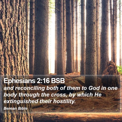 Ephesians 2:16 BSB Bible Verse Image