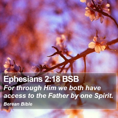 Ephesians 2:18 BSB Bible Verse Image