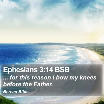 Ephesians 3:14 BSB Bible Verse Image