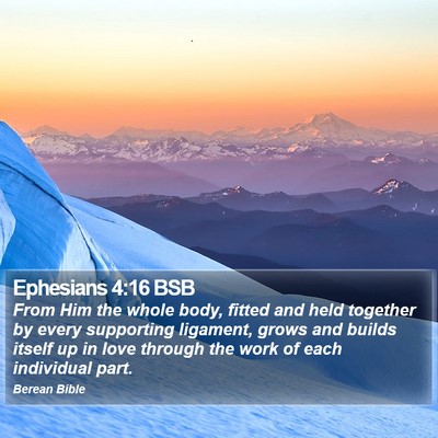 Ephesians 4:16 BSB Bible Verse Image