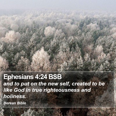Ephesians 4:24 BSB Bible Verse Image