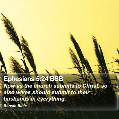 Ephesians 5:24 BSB Bible Verse Image