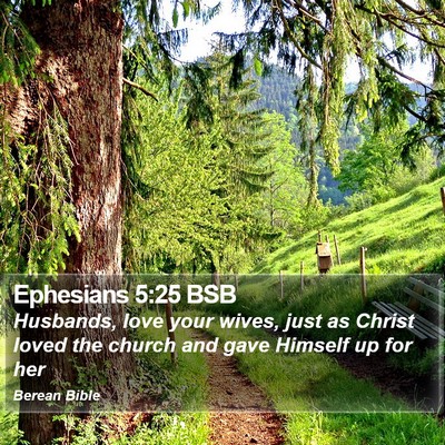 Ephesians 5:25 BSB Bible Verse Image