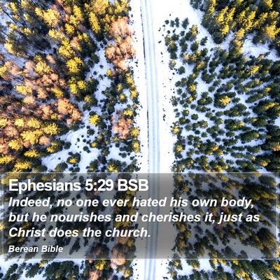 Ephesians 5:29 BSB Bible Verse Image