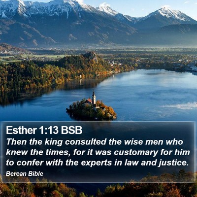 Esther 1:13 BSB Bible Verse Image
