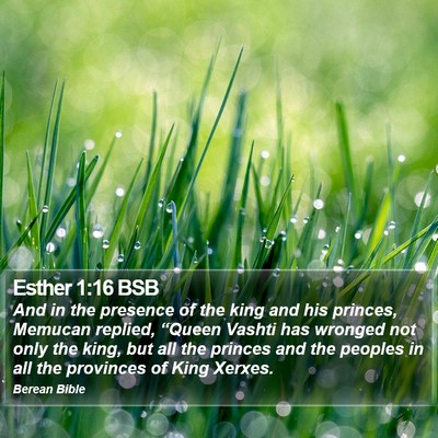 Esther 1:16 BSB Bible Verse Image