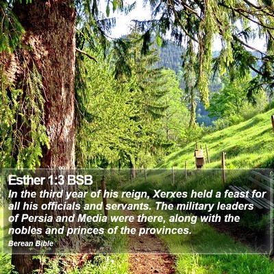 Esther 1:3 BSB Bible Verse Image