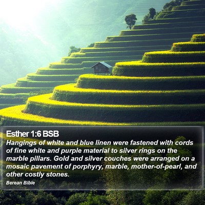 Esther 1:6 BSB Bible Verse Image