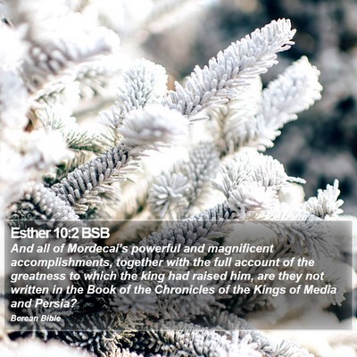 Esther 10:2 BSB Bible Verse Image