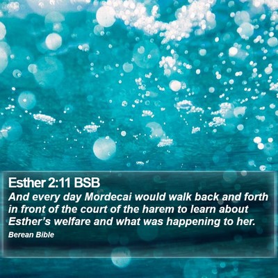 Esther 2:11 BSB Bible Verse Image