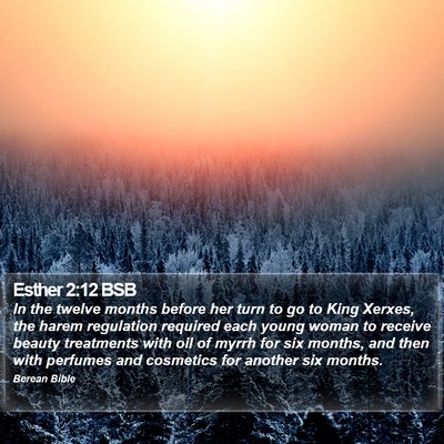 Esther 2:12 BSB Bible Verse Image